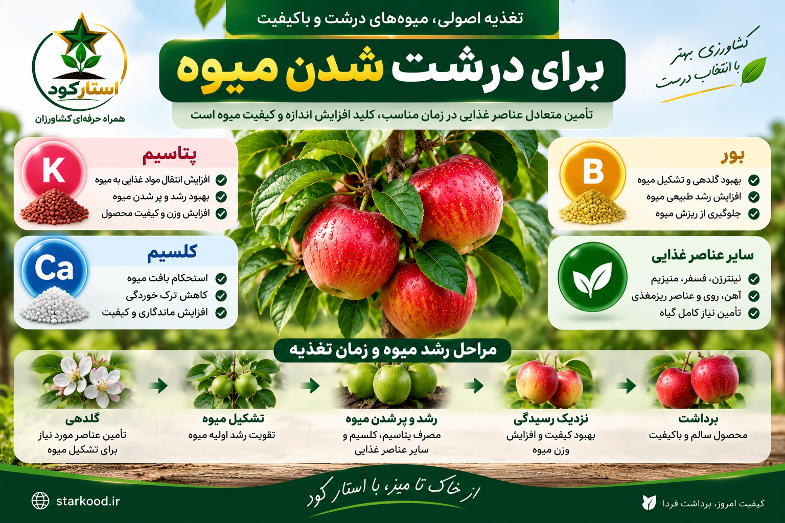 بهترین کود برای درشت شدن میوه