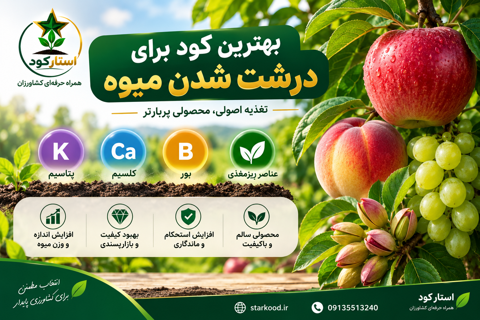 بهترین کود برای درشت شدن میوه چیست؟ | راهنمای کامل تغذیه درختان